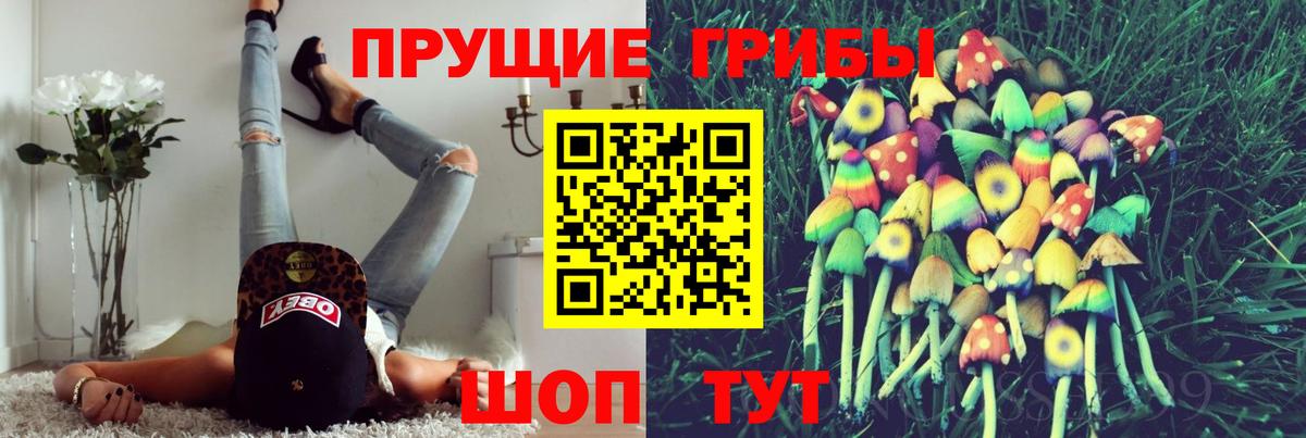 Фурманов  Псилоцибиновые грибы Cubensis  Вход с VPN 