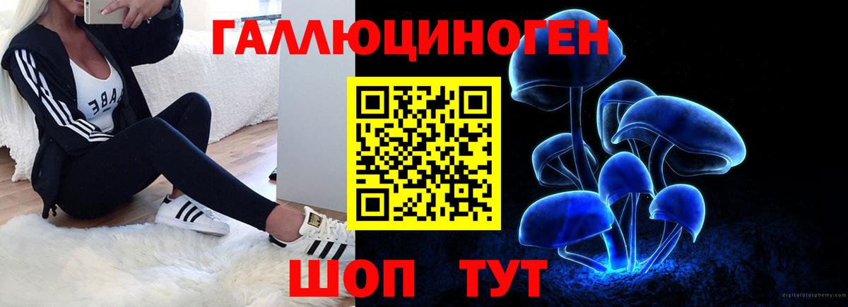 Галлюциногенные грибы GOLDEN TEACHER Фурманов