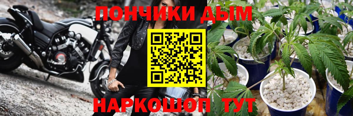 Каннабис MAZAR Фурманов
